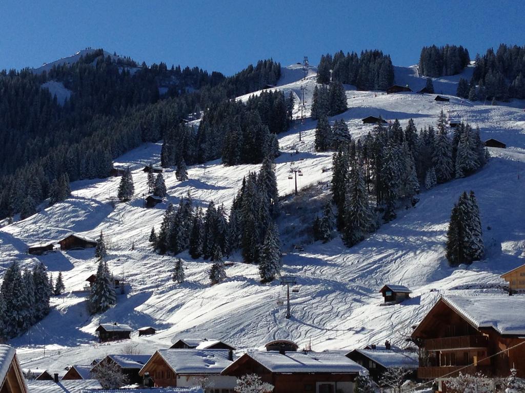 Chalet Butterfly Adelboden Bilik gambar